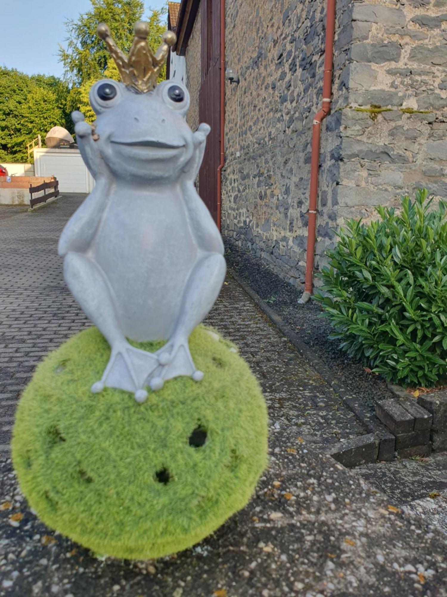 Casa Vogelsberg Appartement Schotten Buitenkant foto